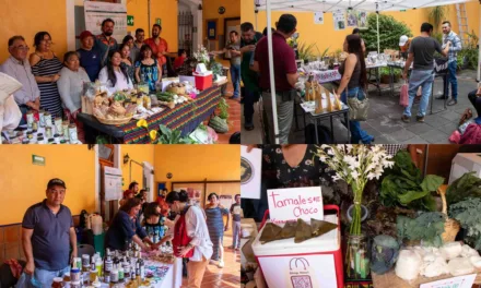 En UV-Intercultural, productores compartieron experiencias