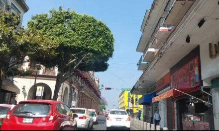 Hoy se prevé ambiente caluroso a muy caluroso en el estado de Veracruz al mediodía y primeras horas de la tarde. Aquí el pronóstico