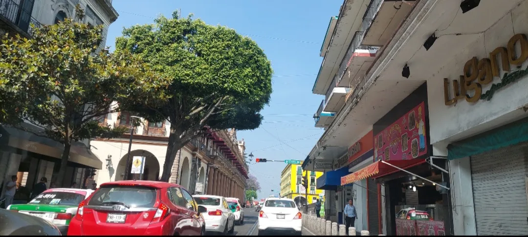 Hoy se prevé ambiente caluroso a muy caluroso en el estado de Veracruz al mediodía y primeras horas de la tarde. Aquí el pronóstico