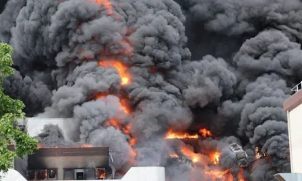 VIDEO: Humo tóxico tras un incendio en una fábrica en Berlín