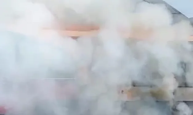 Video: Incendio de pastizal a un costado de plaza Agua Santa , Xalapa