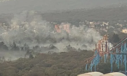 VIDEO: Se registra fuerte incendio en el Bosque de Tlalpan, cerca de Six Flags en la CDMX