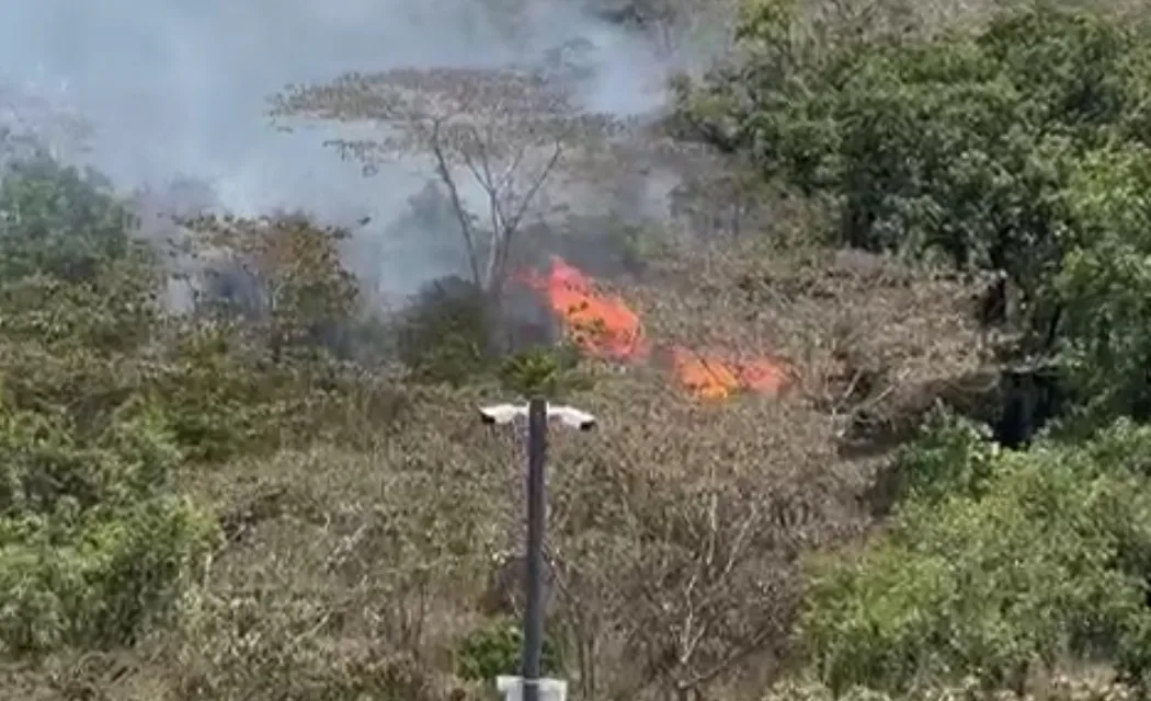 Videos: Se registran varios incendios de pastizales en los alrededores de Xalapa