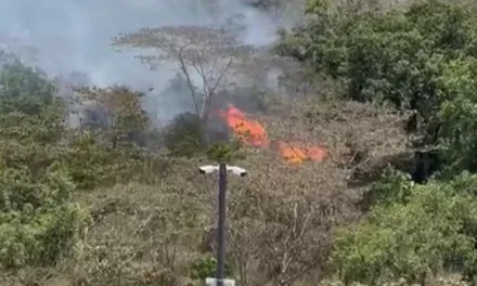 Videos: Se registran varios incendios de pastizales en los alrededores de Xalapa
