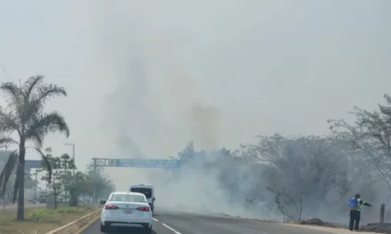 Incendio de pastizal en la entrada a Xalapa