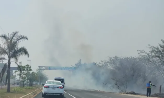 Incendio de  pastizal en la entrada a Xalapa