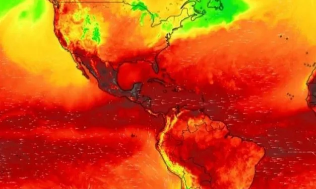 Cuál es la diferencia entre golpe de calor e insolación