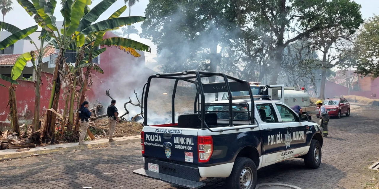 Video: Se registra imcendio de pastizal a  la altura del Parque de la Señoria en  Las Animas