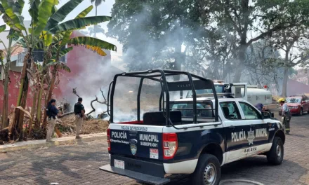Video: Se registra imcendio de pastizal a  la altura del Parque de la Señoria en  Las Animas