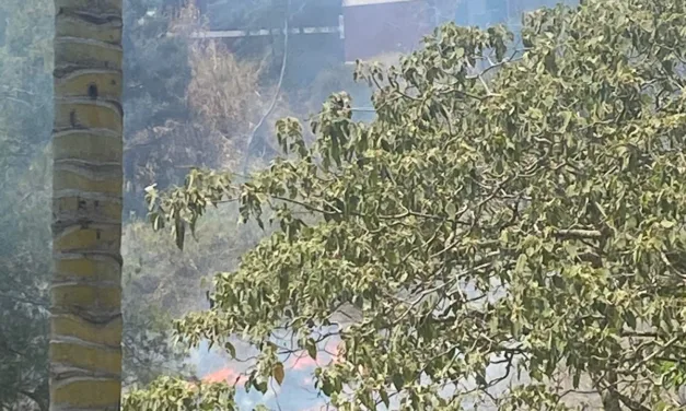 Se registra incendio de pastizal en el Fraccionamiento Tres Pasos