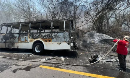 Tráfico pesado en la Cardel – Poza Rica, por incendio de camión y pastizal