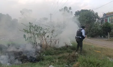 Fuerza Civil y Bomberos acuden a incendio de pastizal en Xalapa