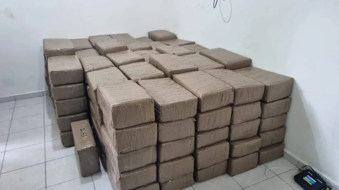 Fuerzas coordinadas confiscan 700 kg de marihuana en Tuxpan
