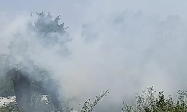 Se registra incendio de pastizal en la carretera Xalapa-Coatepec