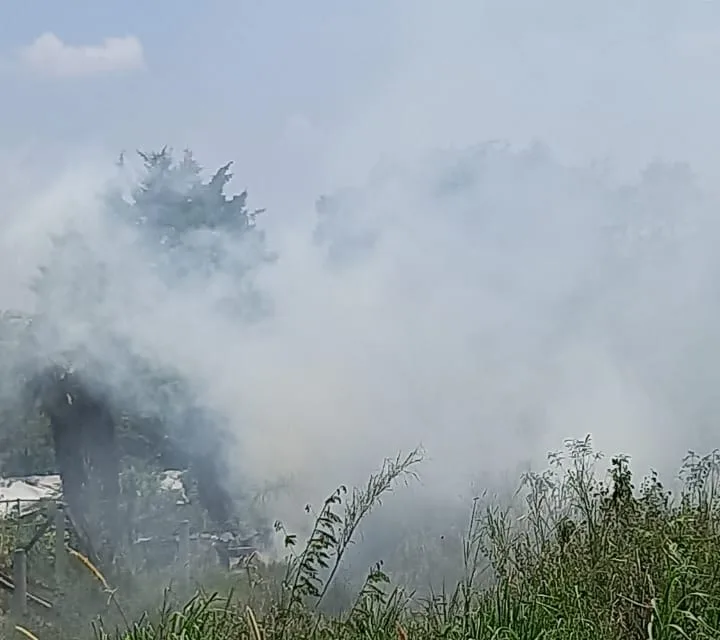 Se registra incendio de pastizal en la carretera Xalapa-Coatepec
