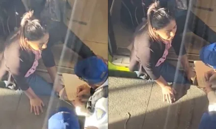 Video: Pierna de Mujer Queda Atrapada entre Andén y Vagón en la linea 12 del metro CDMX