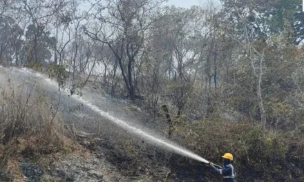 Protección Civil de Emiliano Zapata sofocó tres incendios este viernes