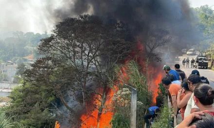 Video:Se registra incendio en la Colonia Cerro Colorado en Xalapa