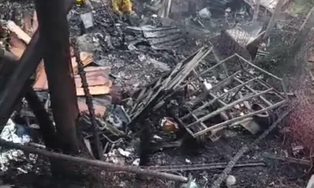 Una persona con quemaduras y dos mascotas muertas tras incendio en Xalapa