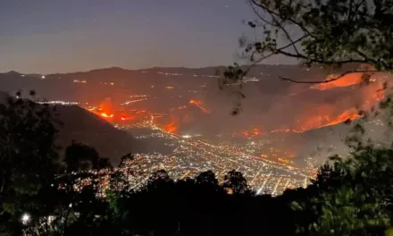 Veracruz con 17 incendios forestales
