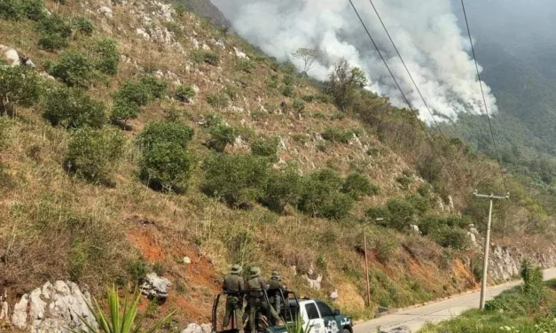 SSP desplegó el Operativo Plan Tajín, en el Cerro de Omitila en la localidad de Tlilapan.