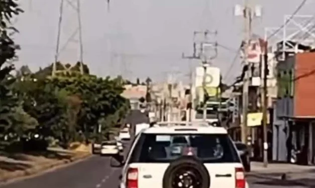 Video:Indignación en redes de Mujer abandona a su perrito en Puebla y lo graban