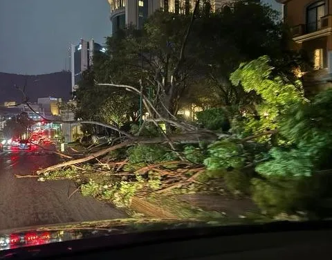 Fuertes lluvias en Monterrey provocan daños en calles y edificios