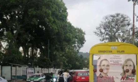 Accidente de tránsito en la avenida Manuel Ávila Camacho, a la altura de Primaria Carlos A. Carrillo
