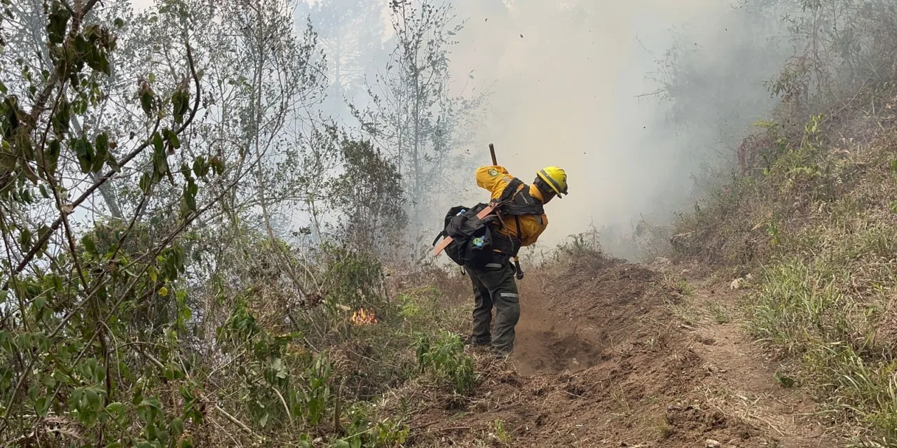 15 incendios forestales liquidados en 2 días en Veracruz 