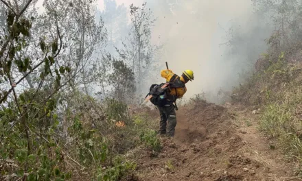 15 incendios forestales liquidados en 2 días en Veracruz 