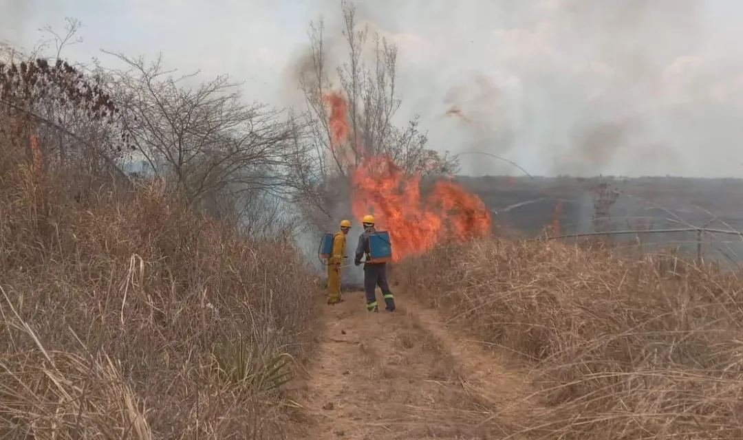 PC Municipal de Emiliano Zapata sofoca 3 incendios