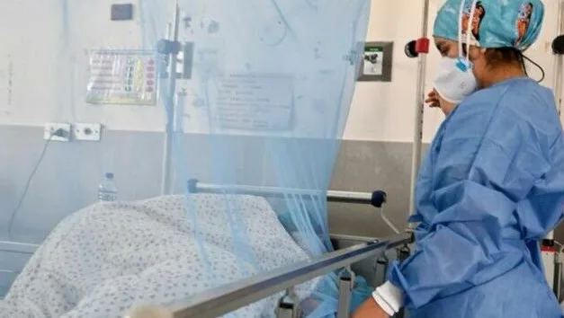 La OMS advierte del aumento del dengue: 8 millones de casos en cuatro meses