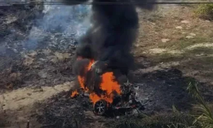 Volcadura e incendio de vehículo en Antón Lizardo , una mujer auxilio a 3 jóvenes