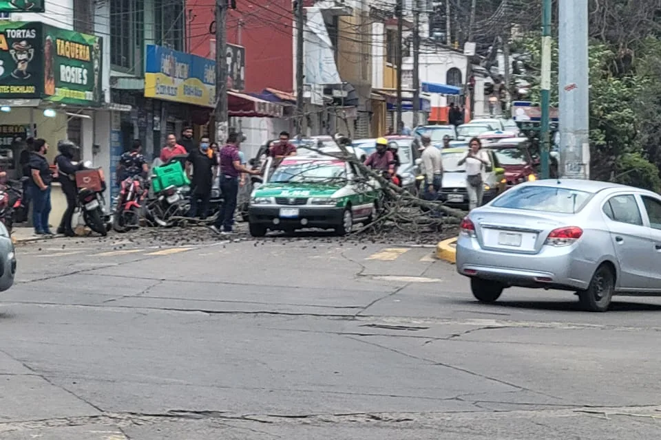 Cae rama de Árbol sobre taxi en la avenida Pípila