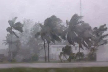 IMSS activa protocolos de protección civil por ciclón tropical