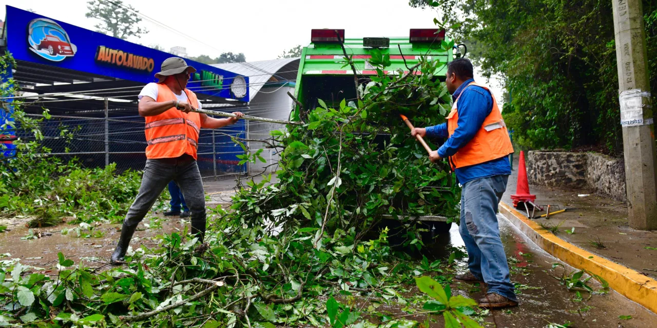 Atiende PC Municipal de Xalapa afectaciones por lluvias