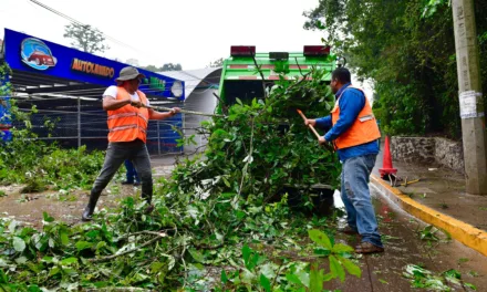 Atiende PC Municipal de Xalapa afectaciones por lluvias