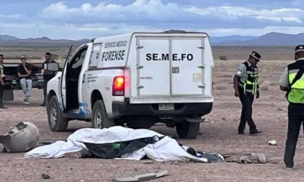 Video: Brincos Dieras” confirma la muerte de dos personas de su equipo de seguridad en accidente