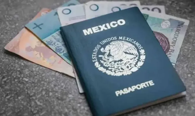 ROBAN 6 MIL 311 PASAPORTES MEXICANOS EN BLANCO