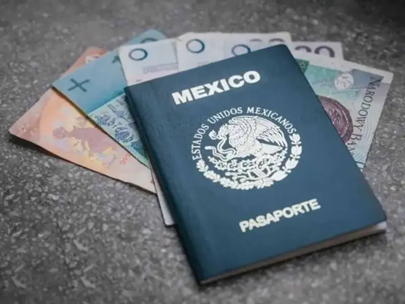 ROBAN 6 MIL 311 PASAPORTES MEXICANOS EN BLANCO