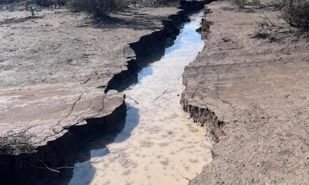 Video: Enorme grieta de 6 kilómetros se forma en Tula, Tamaulipas