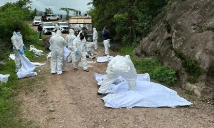 Autoridades federales confirman hallazgo de 19 cuerpos en Chiapas