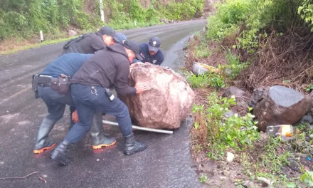 Precaución por derrumbe de rocas en la carretera Xalapa-Totutla