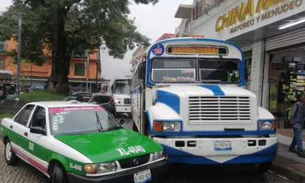 Chocan taxi y camión de pasajeros a la altura del Árbol, Xalapa