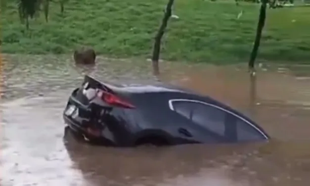 Vehículo se va al agua en San Luis