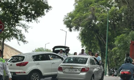 Accidente de tránsito en Paseo de Las Palmas, Xalapa