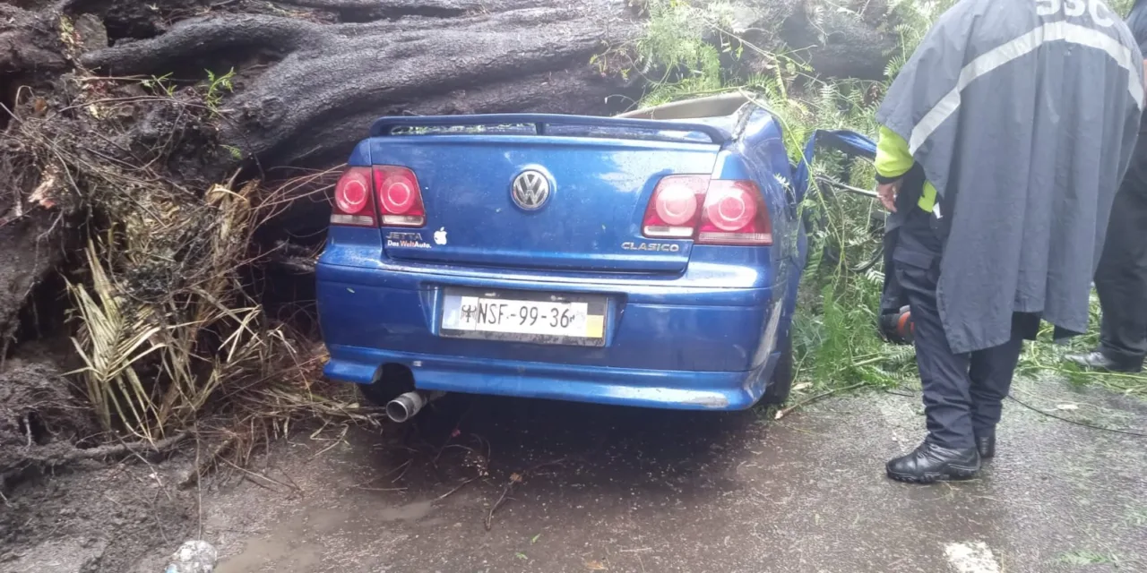 Video:Cae árbol  sobre vehículo rescatan a un Bebé, la madre murio