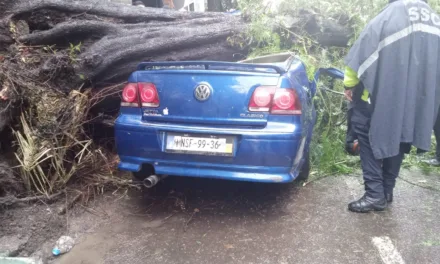 Video:Cae árbol  sobre vehículo rescatan a un Bebé, la madre murio