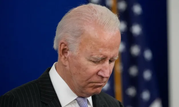 El presidente Joe Biden ha anunciado que no va a buscar la reelección.