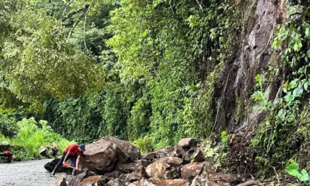 Derrumbe en la carretera Misantla-Xalapa